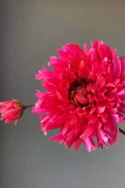 Outlet Pip Studio Pip Kunstliche Blumen Fall Beauty